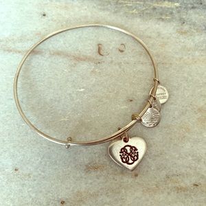Alex and Ani Path of Life Bracelet